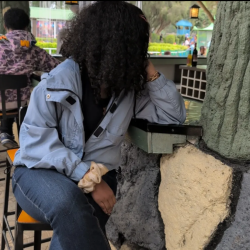 User Profile: seraphlynn