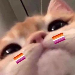 User Profile: neatOrange7785