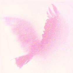User Profile: muffycloud