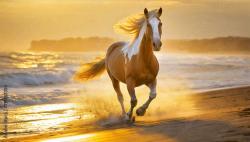 User Profile: JerseyGirl55305