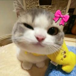 User Profile: YAGUAA001