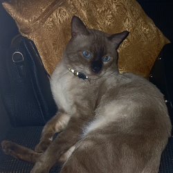 User Profile: franz11