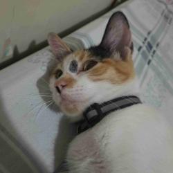 User Profile: kmmd017
