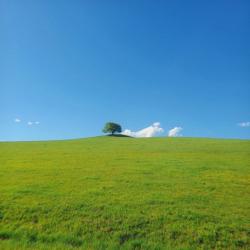Andrenloland profile picture