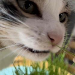 User Profile: LifeShouldNotBeThisHard
