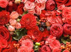User Profile: Lovingflower2141