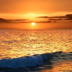 User Profile: MindfulQuest