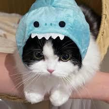 User Profile: CuddleWuddler2000