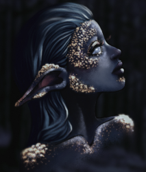 User Profile: MithrilHeart