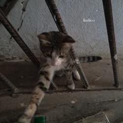 User Profile: yaniso