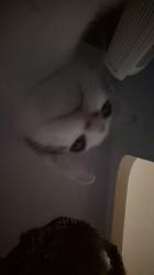 User Profile: disgracey