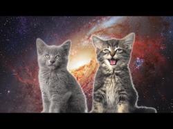 User Profile: SkyFullOfStars214