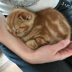 User Profile: lenaashjh
