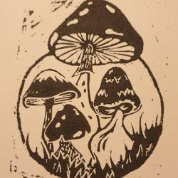 User Profile: Fungiperson