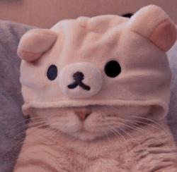 User Profile: PuffyCloud23