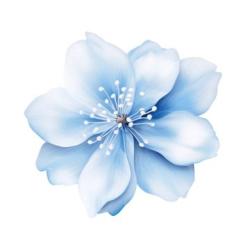 User Profile: Theoneaviva6345