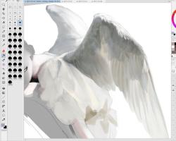 User Profile: silkveilangel