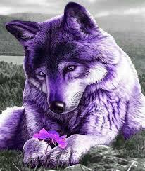 User Profile: PurpleArrogant