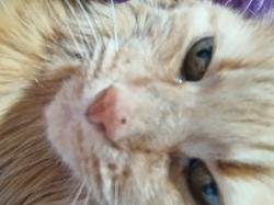 User Profile: Kris2415