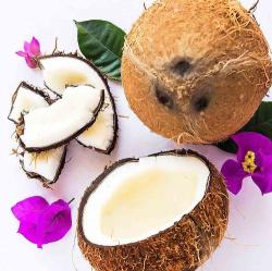 User Profile: FruitsCoconut