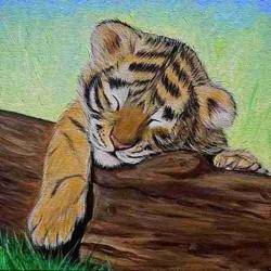 User Profile: whimsytiger