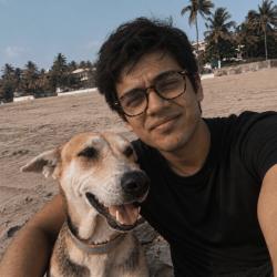 User Profile: Seashellseashore