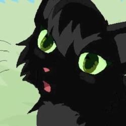 User Profile: MuchSaferUsername