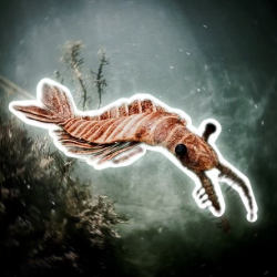 User Profile: alien519