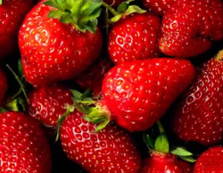 User Profile: inventiveStrawberries9350