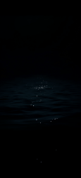 User Profile: starrynight000