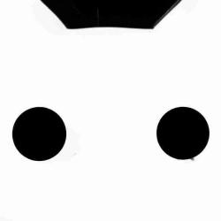 User Profile: CatsPizza