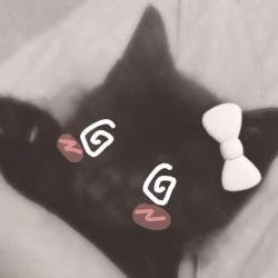 User Profile: humangreed