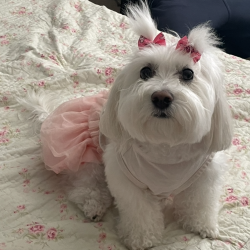 User Profile: plumrose15153