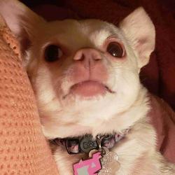 User Profile: queerlydearly