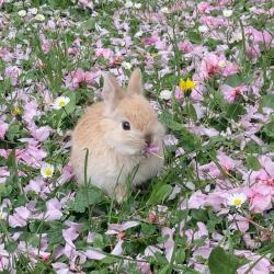 User Profile: PinkButterfly1058