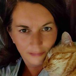 User Profile: AllyJingles
