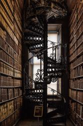 User Profile: adaptivePoetry8351