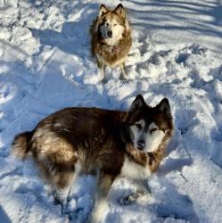 User Profile: WaterUnicorn