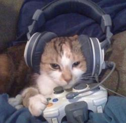 User Profile: kkatz17