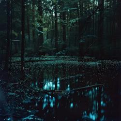 User Profile: lonelypond8291