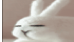 User Profile: nobodywashereorwasthere