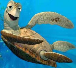 User Profile: goldenTurtle6154