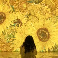 User Profile: Ayurabloom77