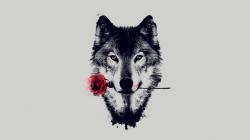 User Profile: Killerwolf