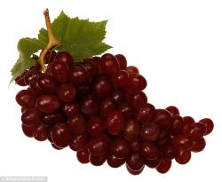 User Profile: placidGrapes8613