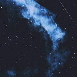User Profile: MyDreamIsToBeANeurobiologist