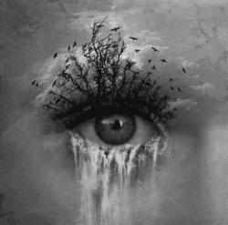 User Profile: DrowningWords