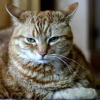 User Profile: grapefang652