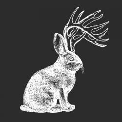 User Profile: conscientiousobjector