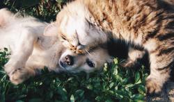 User Profile: sleepwalker47